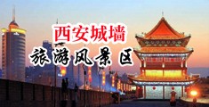 小逼网址中国陕西-西安城墙旅游风景区